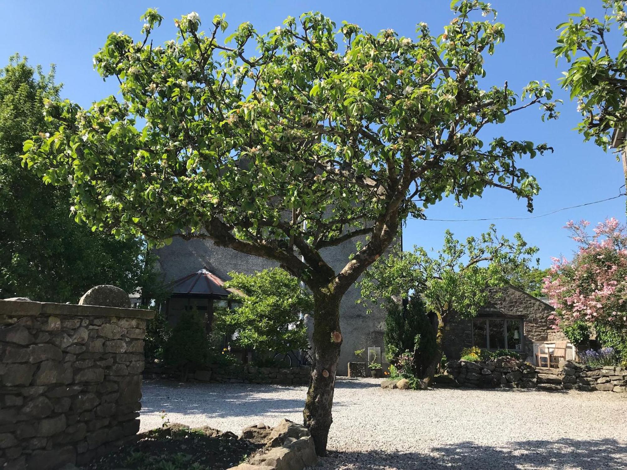 Villa Pear Tree Barn Crooklands Exterior foto